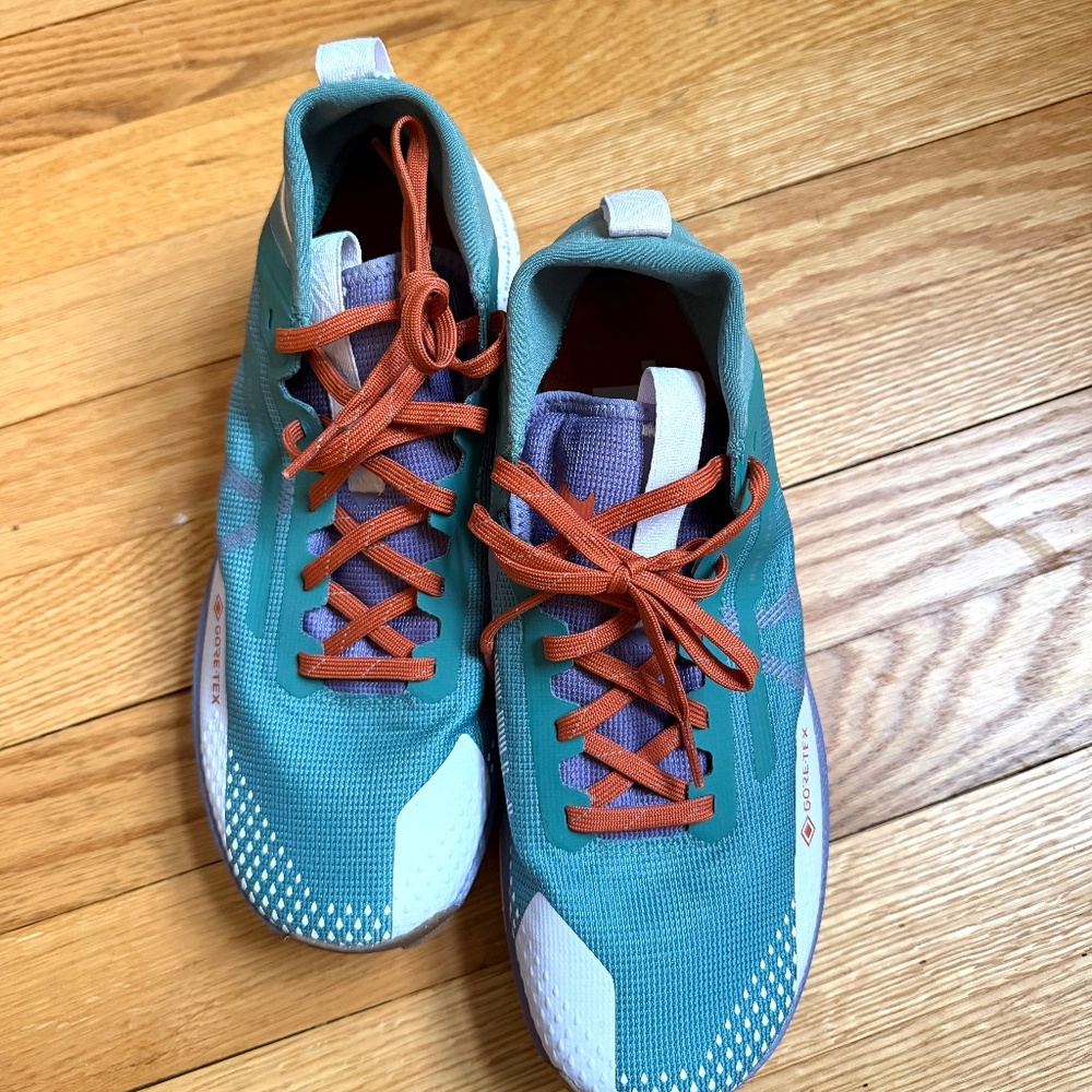 Nike React Pegasus Trail 4 Gore-Tex Shoes  Bicoastal Phantom Barely Grape Daybre